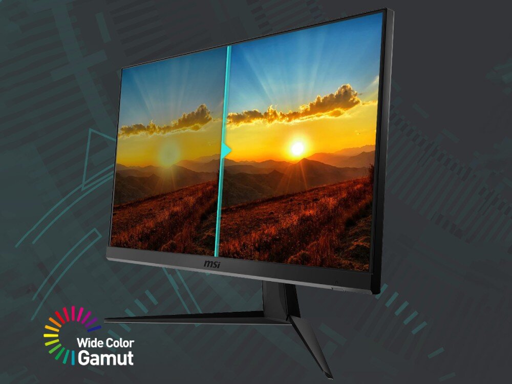 Monitor LED MSI G2412F 23,8 " 1920 x 1080 px IPS / PLS HDMI OUTLET 46