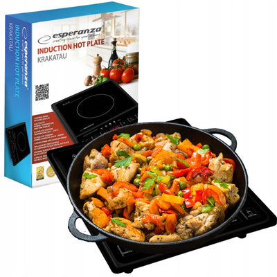 PŁYTA INDUKCYJNA KUCHENKA ELEKTRYCZNA 2000W TIMER